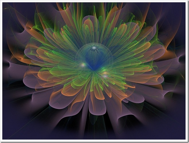 fractales de fleurs, centrage energetique, multidimension