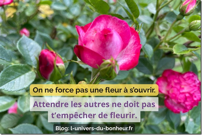 évolution des sensibles sensibles évolution